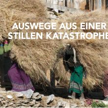 Auswege aus einer stillen Katastrophe